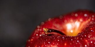 Czy Benefit to polskie słowo?