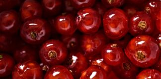 Gdzie lepiej wymienić walutę w banku czy kantorze?