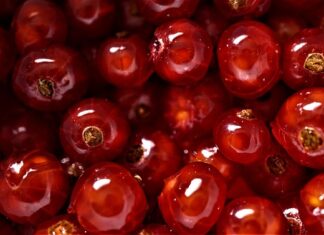 Gdzie lepiej wymienić walutę w banku czy kantorze?