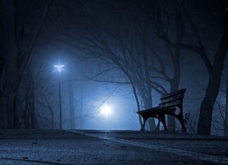 Czy polskie studia są uznawane za granicą?