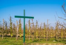 Czy trzeba tworzyć regulamin pracy zdalnej? Czy trzeba tworzyć regulamin pracy zdalnej?