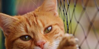 Ile netto na rękę w 2023?