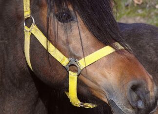 Czy kantor może odmówić wymiany pieniędzy?