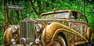 Jakie marki współpracują z Influencerami?