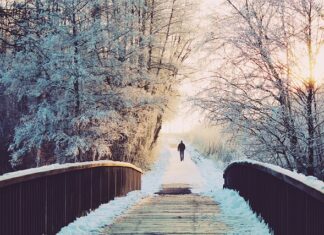 Kiedy opłaca się przejść na własną działalność?