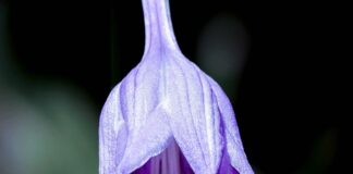 Czy ceny działek będą spadać?