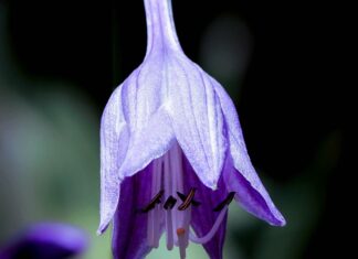 Czy ceny działek będą spadać?