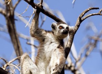 Jak rozmawiać z dzieckiem o jego złym zachowaniu? Jak rozmawiać z dzieckiem o jego złym zachowaniu?