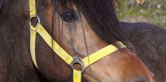 Ile pieniędzy można wymienić w kantorze stacjonarnym?