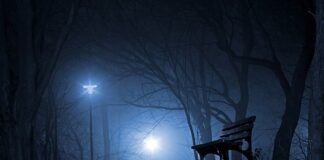 Ile ludzi z Polski dostaje się na Harvard?