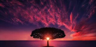 Jakie jest zastosowanie chmury obliczeniowej?