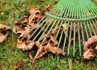 Czy PKO pobiera prowizję za przewalutowanie?