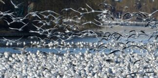 Czy Działki budowlane będą tanieć?