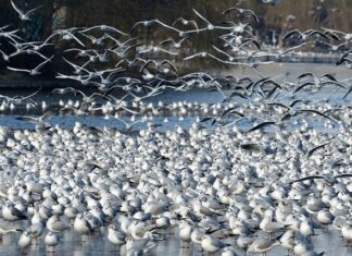 Czy Działki budowlane będą tanieć?