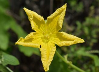 Gdzie są określone wymagania dla dostawców producentów żywności )?