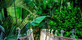 Jaki kurs waluty do rozliczenia rocznego?