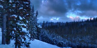 Czy można zatrudnić nauczyciela z licencjatem?