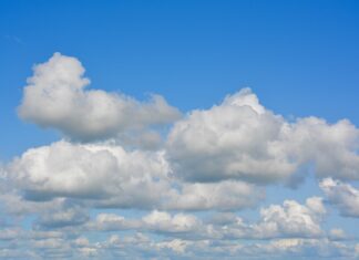 W jakim terminie pracownik otrzymuje informację o warunkach zatrudnienia?