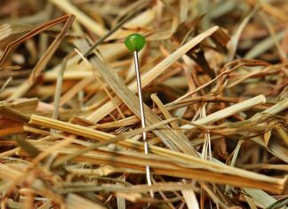 Czy trudno jest zdać IELTS?