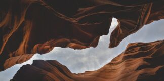 Jakie mogą być formy współpracy?