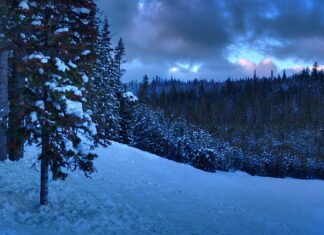 Czy po licencjacie ma się przygotowanie pedagogiczne?