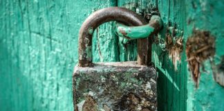 Kto jest odpowiedzialny za bezpieczeństwo żywności?