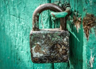 Kto jest odpowiedzialny za bezpieczeństwo żywności?