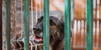 Co robić gdy dziecko tęskni w przedszkolu?