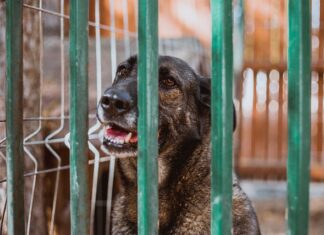 Co robić gdy dziecko tęskni w przedszkolu?