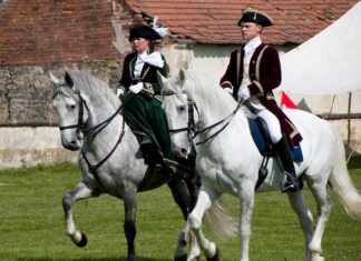 Ile kun wchodzi na 1 €?