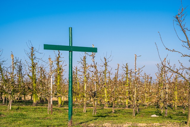 Czy szkoła musi mieć regulamin pracy zdalnej? Czy szkoła musi mieć regulamin pracy zdalnej?