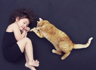 Komu należy się opiekunka z pomocy społecznej? Komu należy się opiekunka z pomocy społecznej?