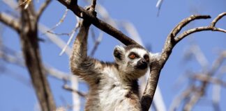 Jak karać dziecko za złe zachowanie w szkole?