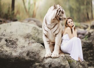 Jakie E są niebezpieczne?