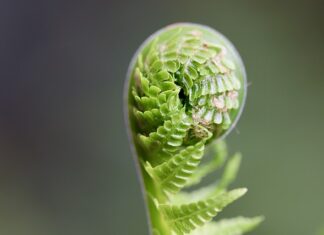Co powinno przede wszystkim rozwijać Przedszkole u swoich wychowanków?