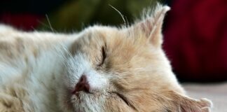 Jak dotrzeć do leniwego dziecka?