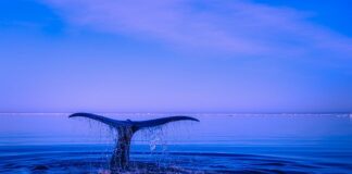 Jakie zachowania są naruszeniem prawa?