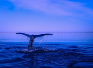Jakie zachowania są naruszeniem prawa?