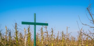 Kto musi wprowadzić regulamin pracy zdalnej?