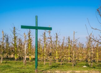 Kto musi wprowadzić regulamin pracy zdalnej?