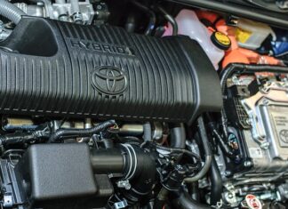 Co to jest synergia w migomacie?