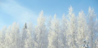 Jakie są minusy pracy?