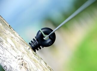 W jakim kraju mieszka najwięcej Polaków?