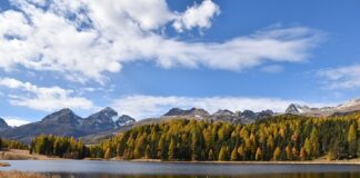 Jak zrezygnować ze stażu bez konsekwencji?