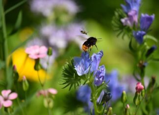 Do czego potrzebna nam jest znajomość języków obcych napisz co można zrobić gdy się nie zna? Do czego potrzebna nam jest znajomość języków obcych napisz co można zrobić gdy się nie zna?