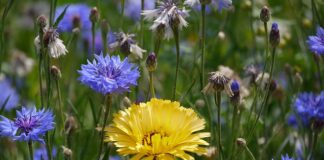 Za co odpowiada pracodawca?