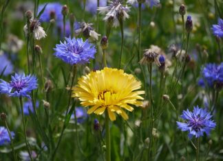 Za co odpowiada pracodawca?
