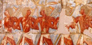 Jakie ulgi dla opiekuna osoby niepełnosprawnej?