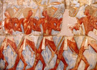 Jakie ulgi dla opiekuna osoby niepełnosprawnej? Jakie ulgi dla opiekuna osoby niepełnosprawnej?