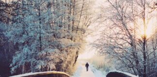 Ile jest dni praktyk w technikum?